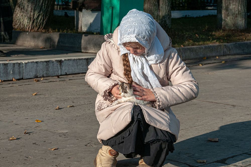 Photograph by Vladimir  Komarov