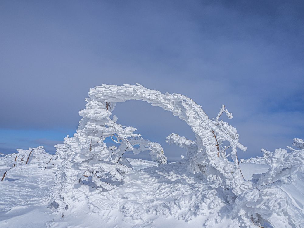 Photograph by Надежда Михайлина