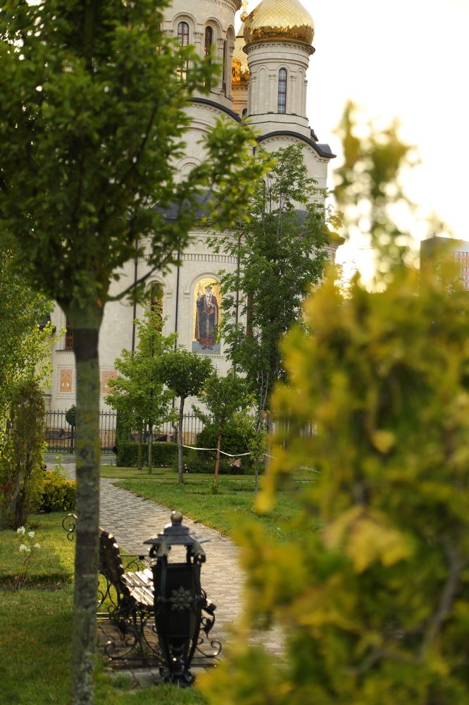 Фотография автора Елена Чурилова