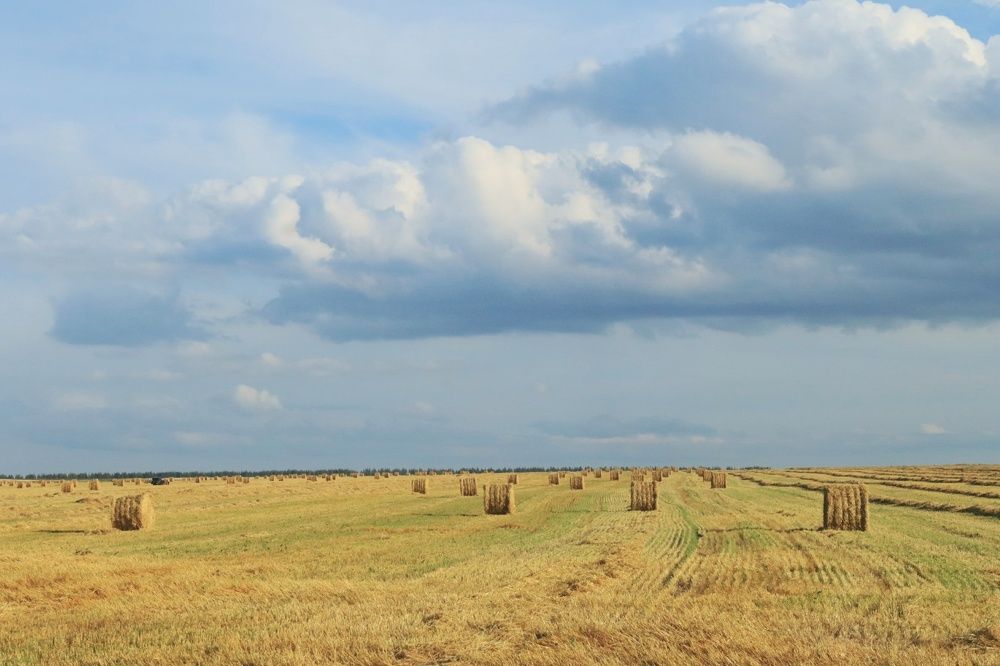 Photograph by Майя Гришина