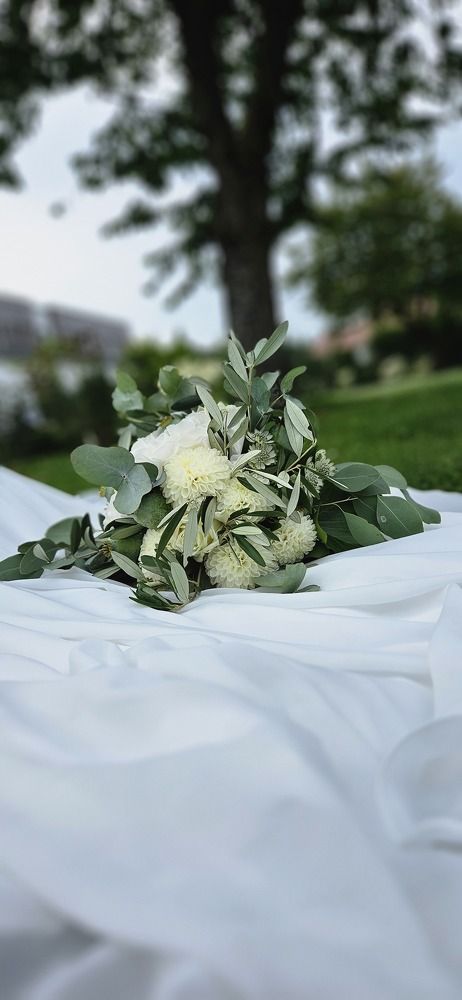 Photograph by Елена Коробейникова