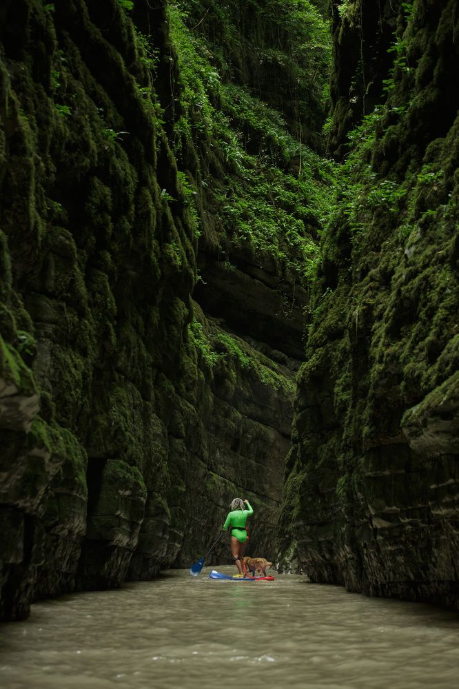 Фотография автора Fallen Angel