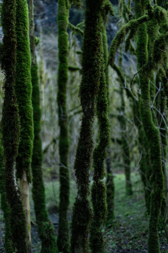Фотография автора Fallen Angel