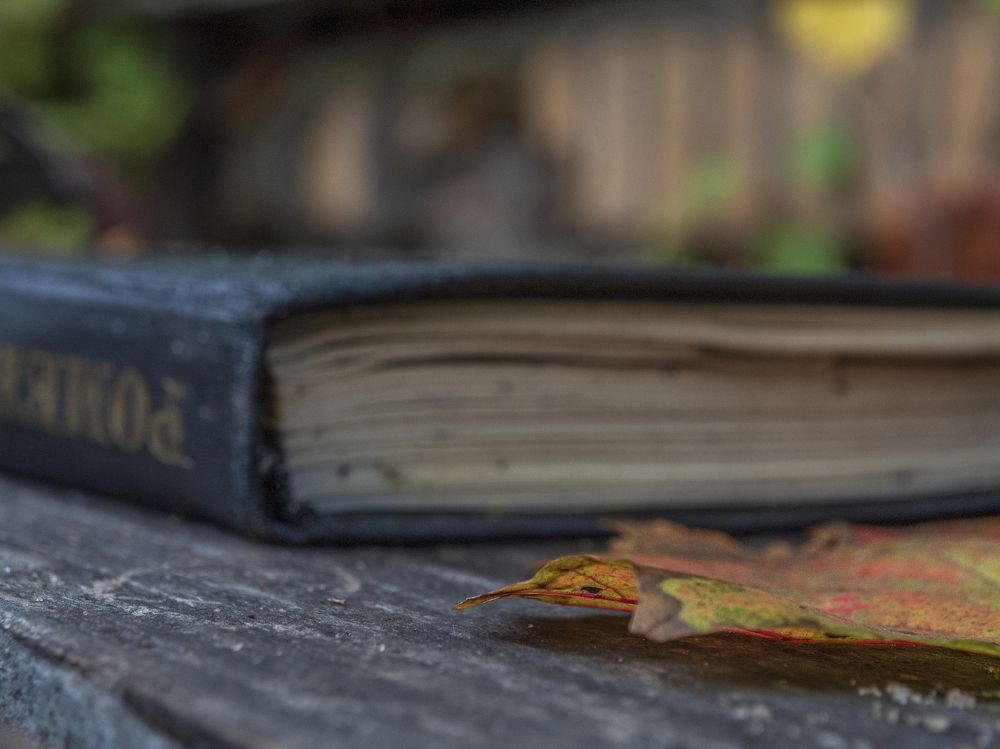 Photograph by Надежда Михайлина