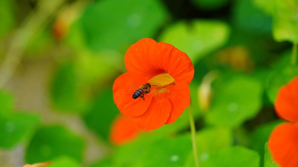 Photograph by Toomas Tõnisalu