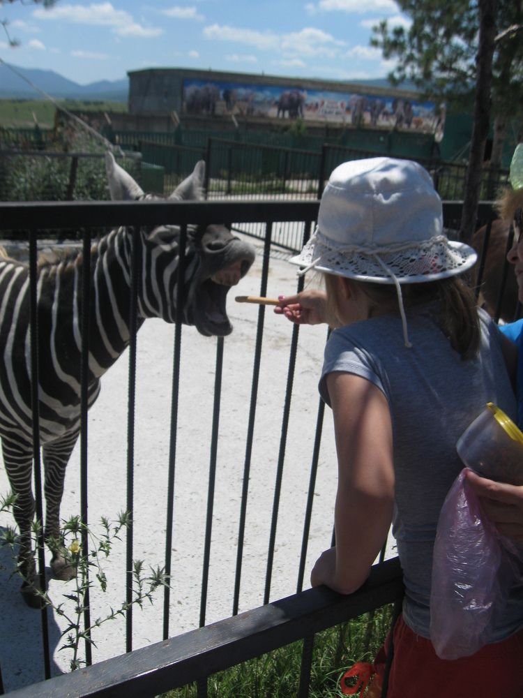 Photograph by Светлана Зотова