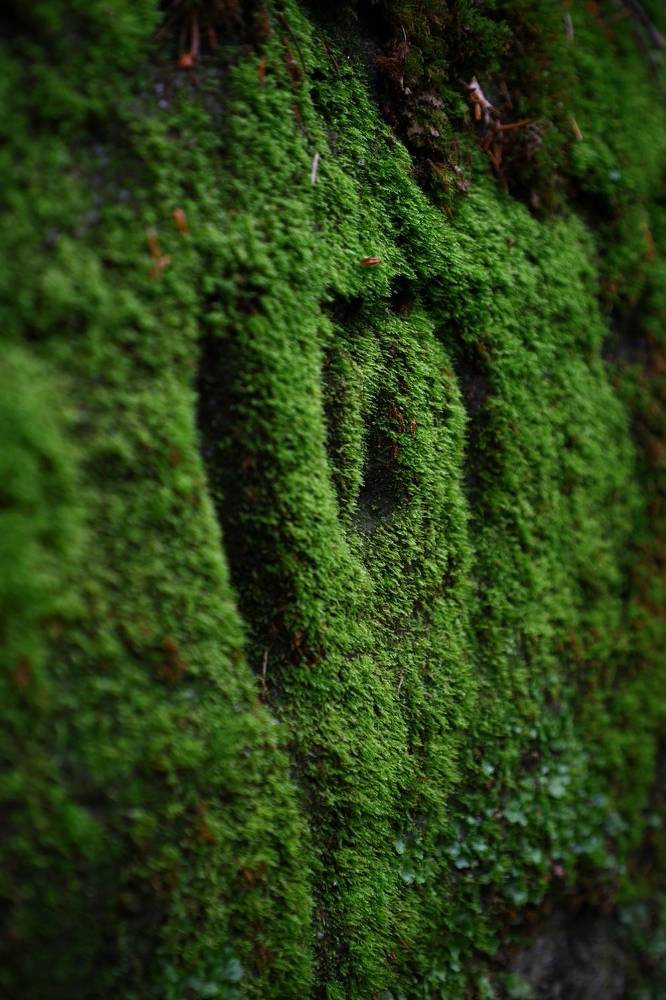 Photograph by Наталья Малышева