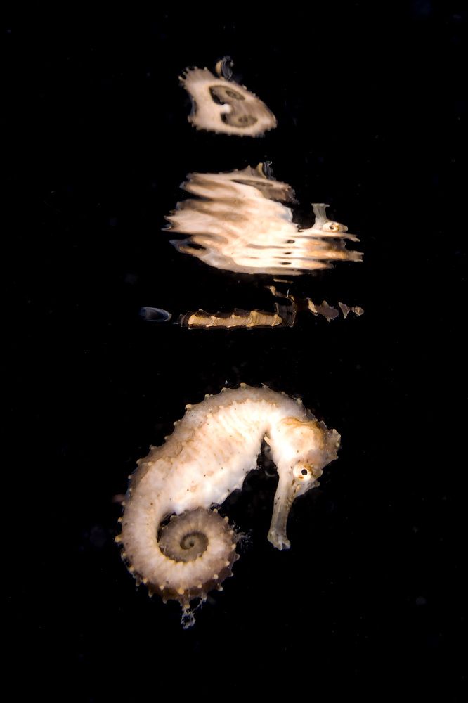 Photograph by Deniz muzaffer Gokmen