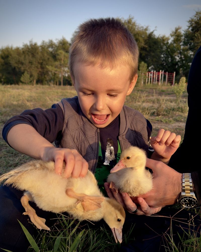 Photograph by Ольга Бибекина