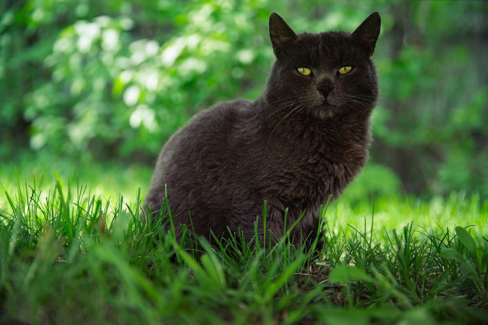 Photograph by Анна Ткаченко