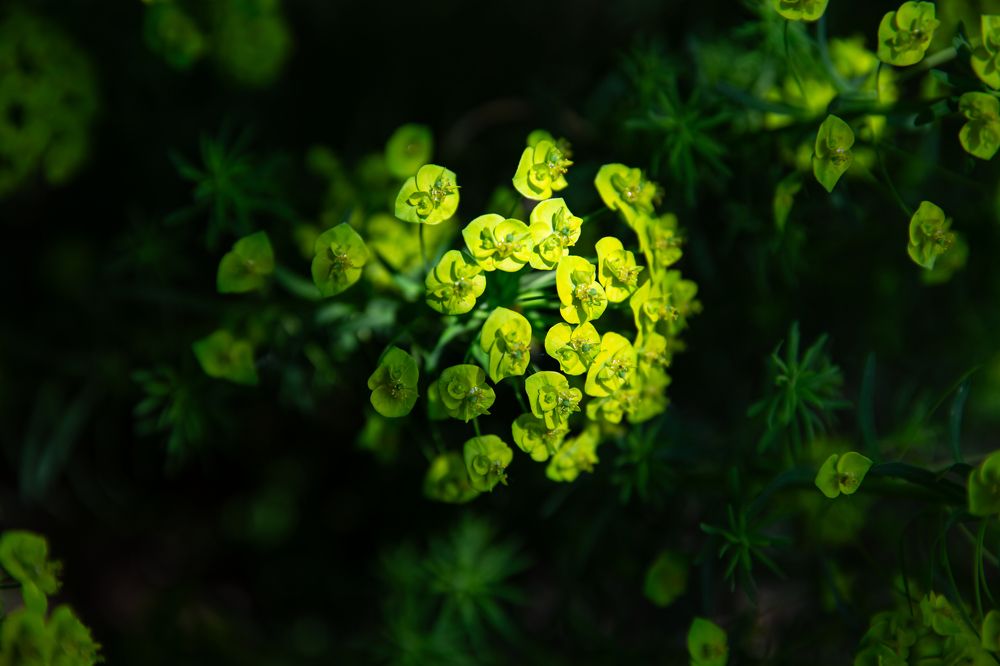 Photograph by Анна Ткаченко