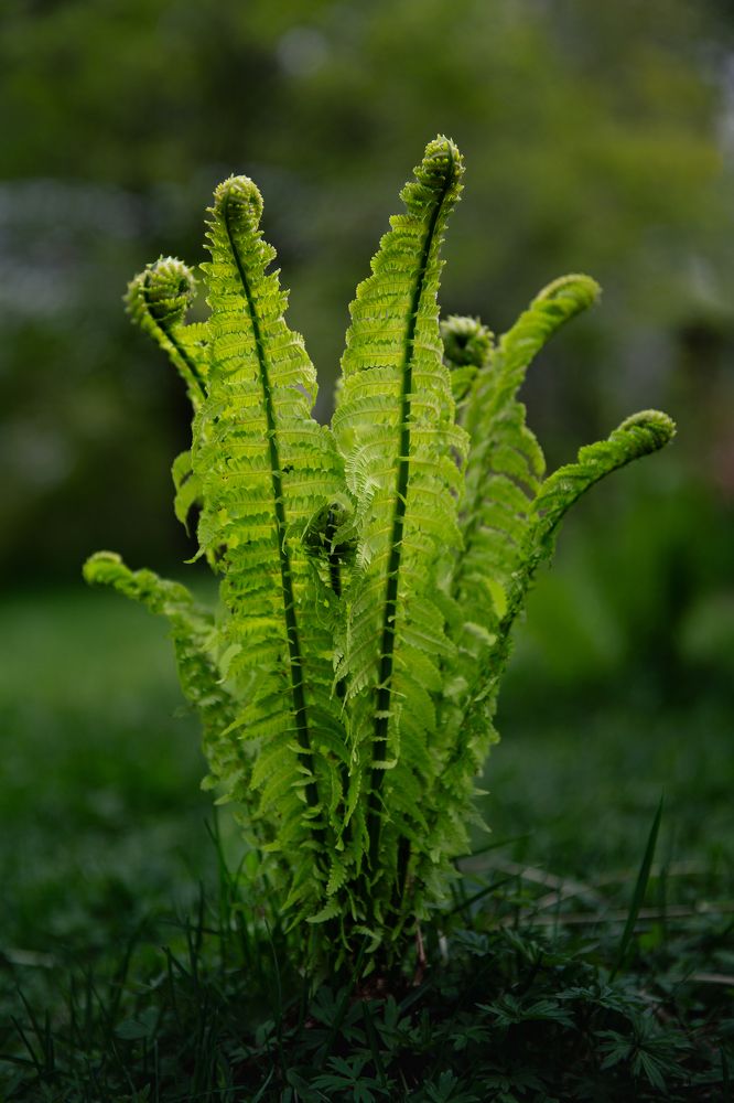 Photograph by Анна Ткаченко