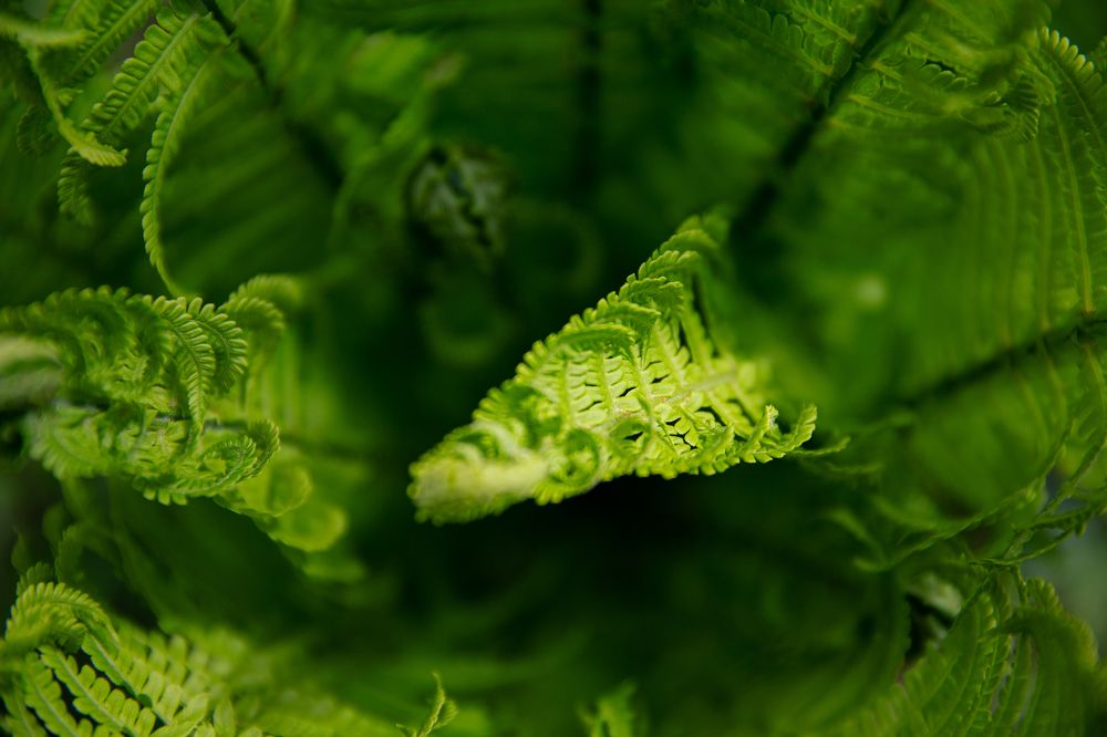 Photograph by Анна Ткаченко