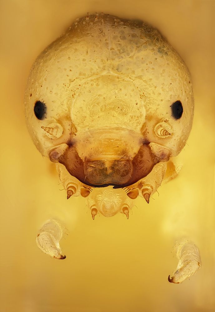 Photograph by Rastislav Borovsky