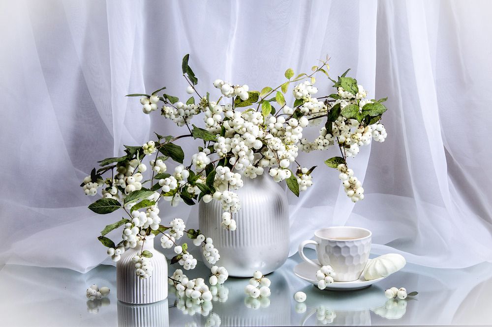 Фотография автора Людмила Павловна