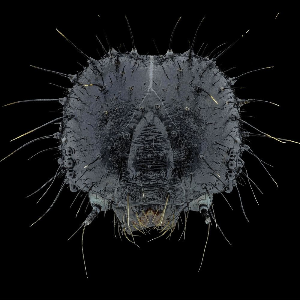 Photograph by Rastislav Borovsky