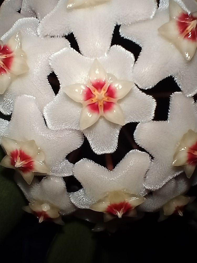 Photograph by Елена Мясникова