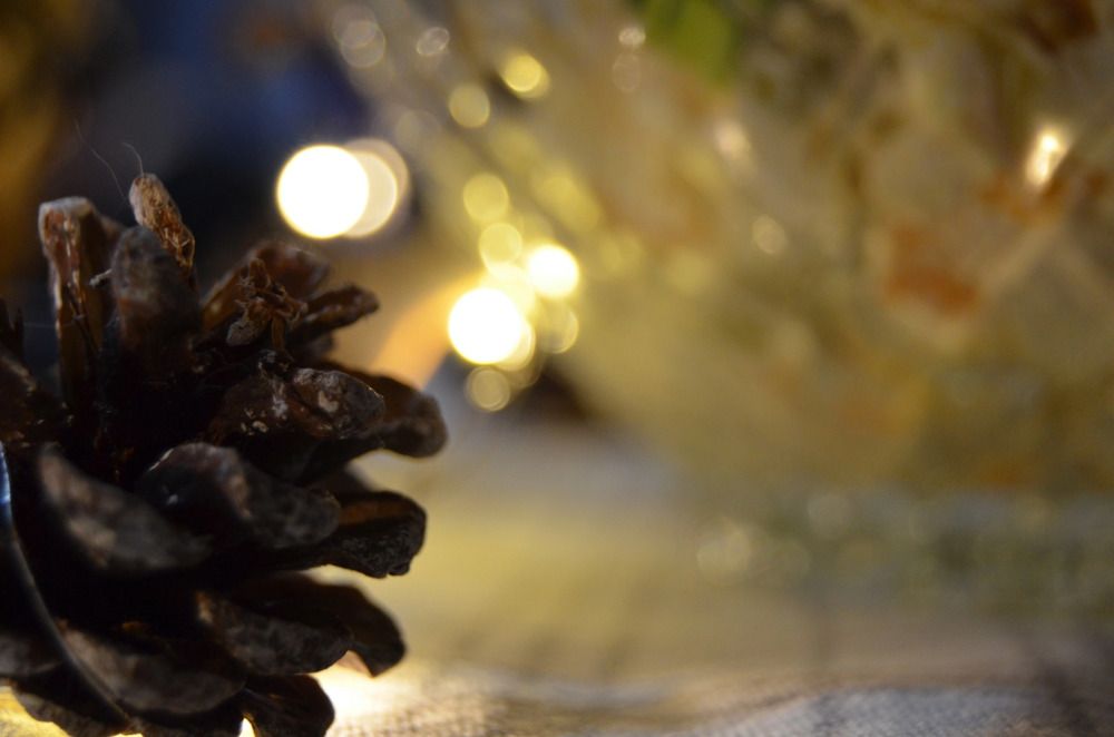 Фотография автора Антонина Клементьева