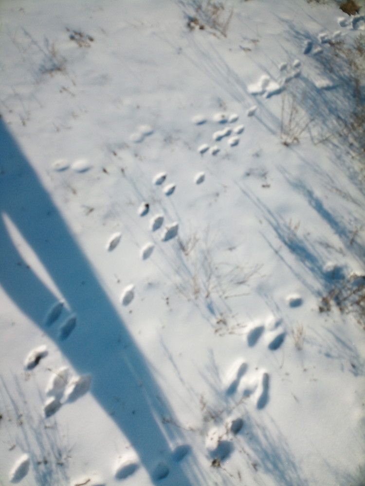 Photograph by Елена Мясникова