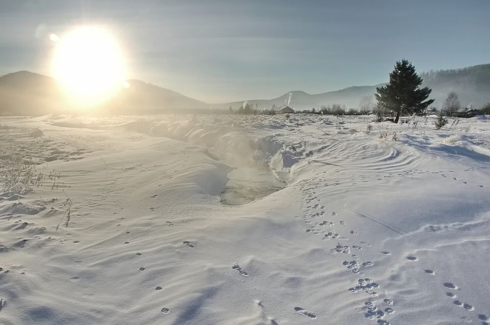 Фотография автора Сергей Тимофеев