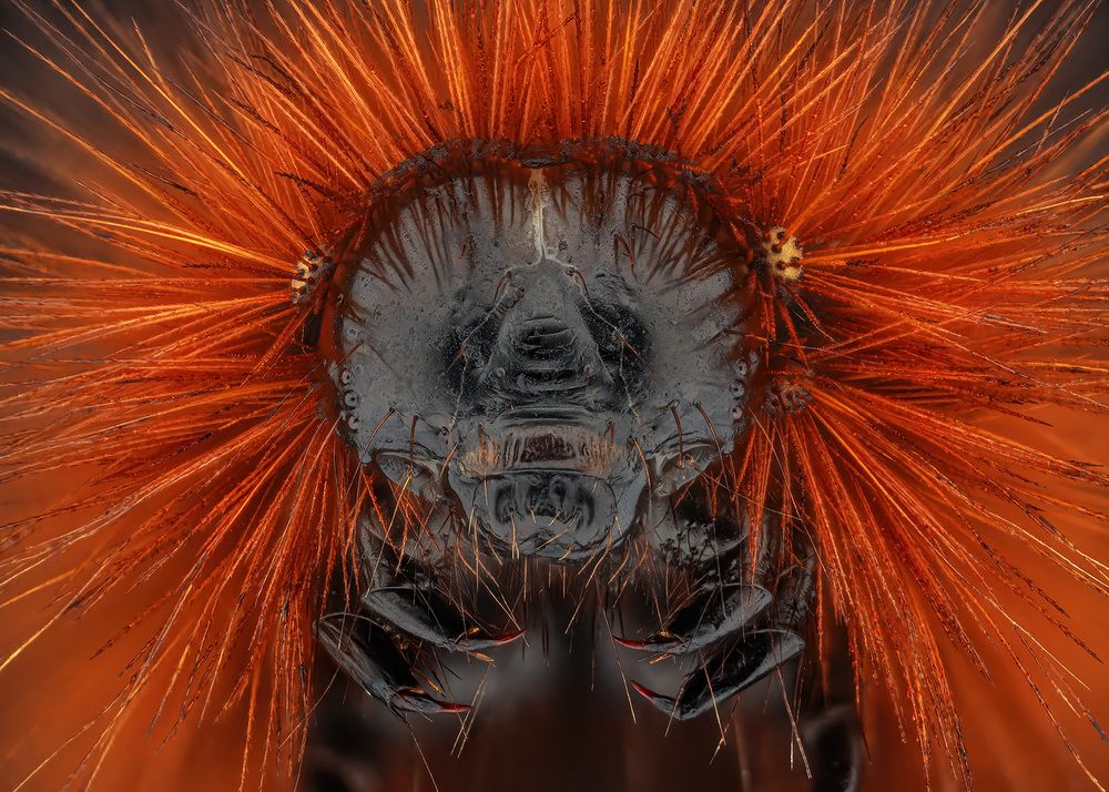 Photograph by Rastislav Borovsky