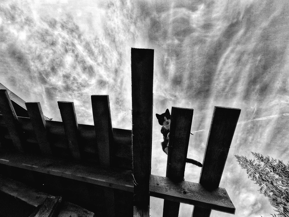 Photograph by Юдина Инна