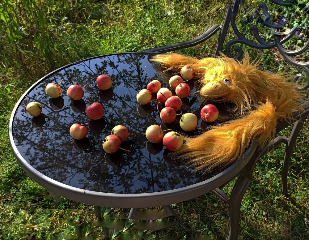 Photograph by Ляля Ильинская