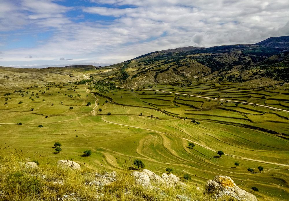 Photograph by Алёна Пшеленская