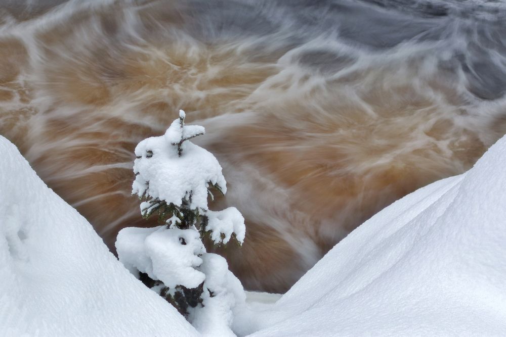 Photograph by Николай Раппу