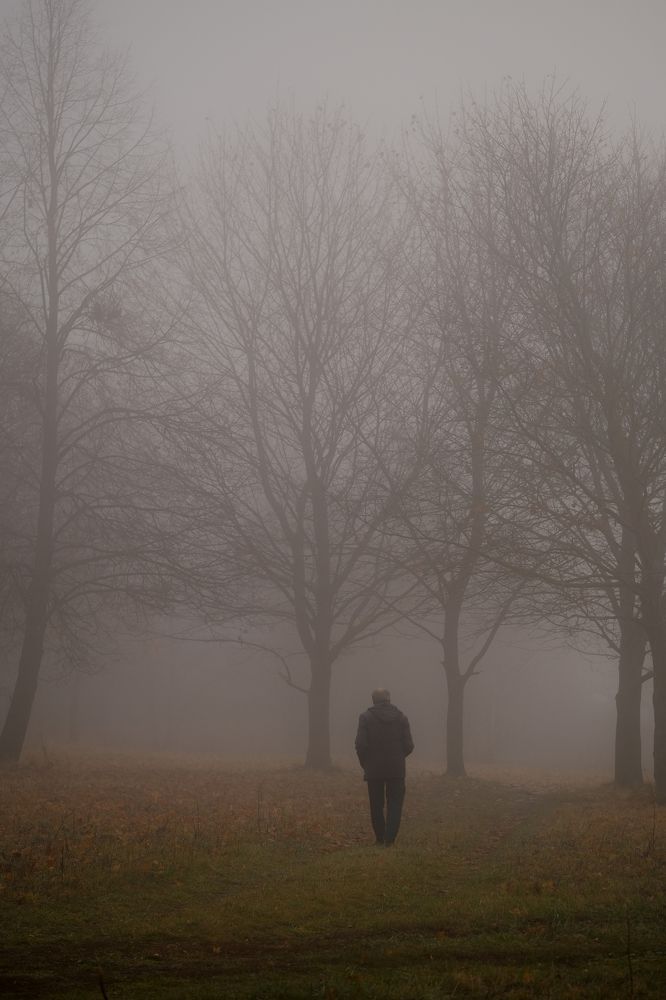 Фотография автора Александр Высоцкий
