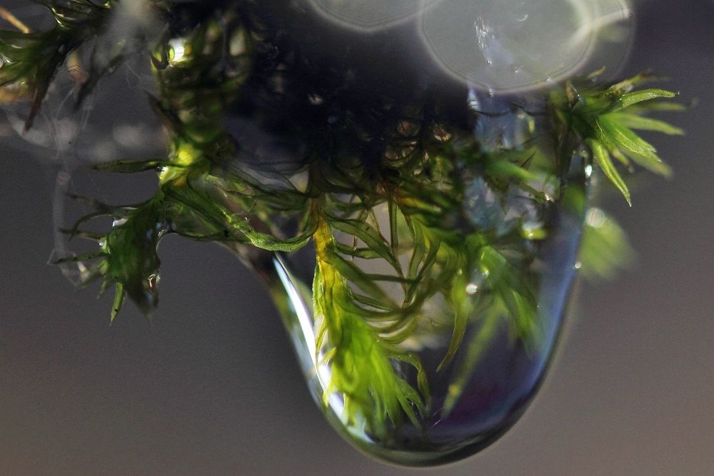 Photograph by Николай Раппу