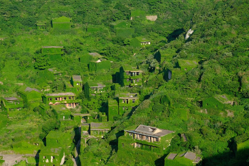 Фотография автора Александр Высоцкий