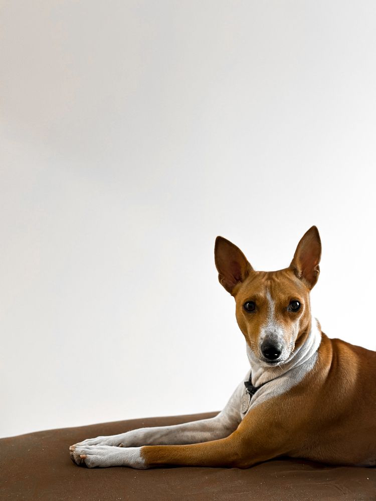 Photograph by Екатерина Анпилова