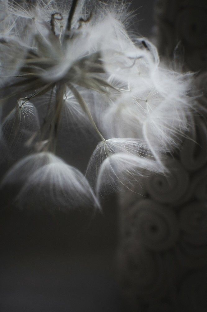 Photograph by Татьяна Максакова