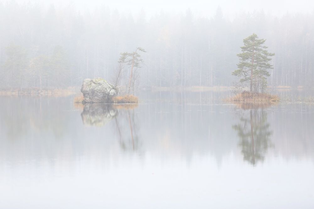 Photograph by Николай Раппу