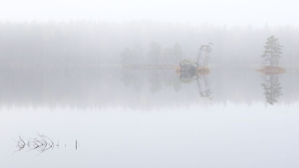 Photograph by Николай Раппу