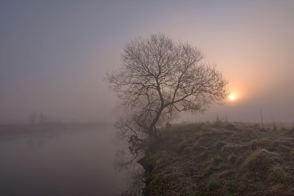 Photograph by Александр Гвоздь