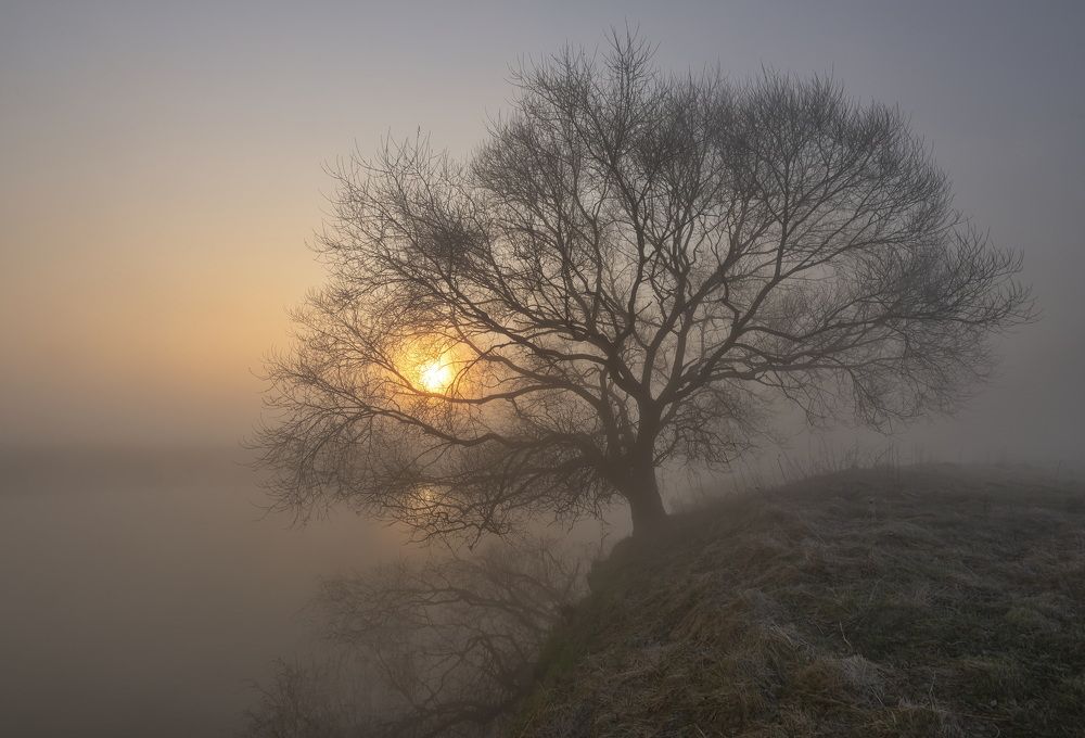 Photograph by Александр Гвоздь