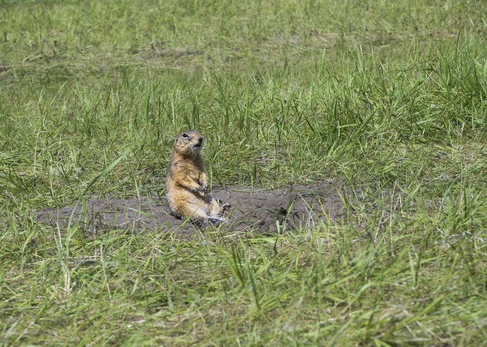 Photograph by Жанна Агафонова