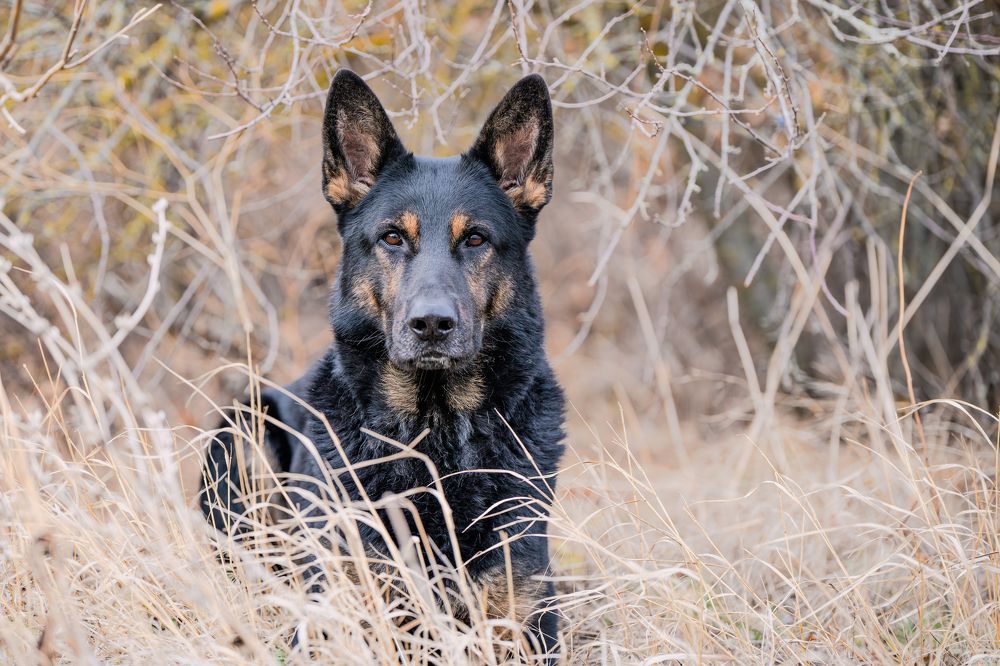 Photograph by Сергей Жиркевич