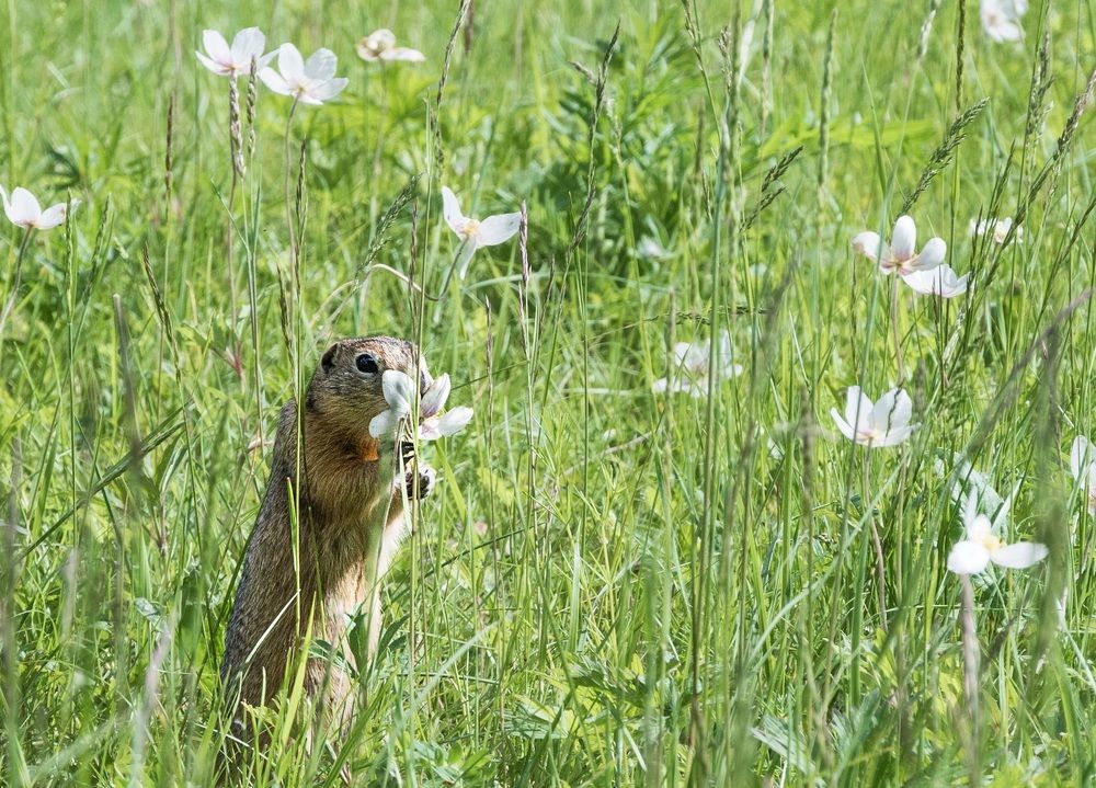 Photograph by Жанна Агафонова