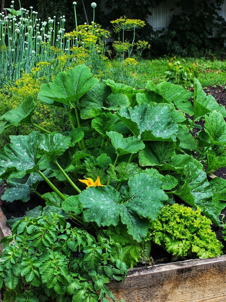 Photograph by Любовь Колмакова