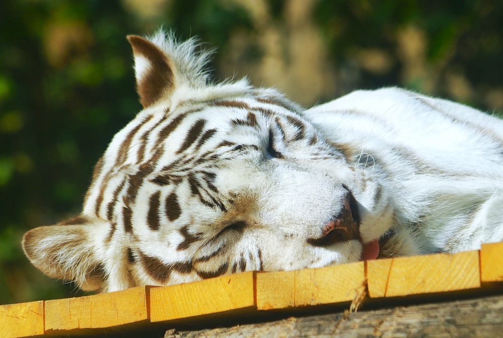 Photograph by Гагик Саркисян