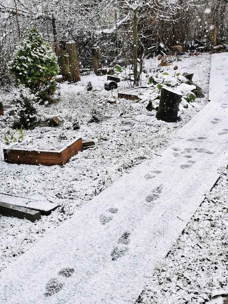 Photograph by Любовь Колмакова