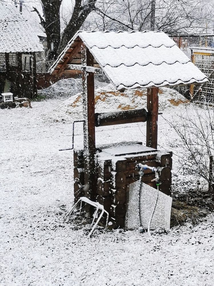 Photograph by Любовь Колмакова