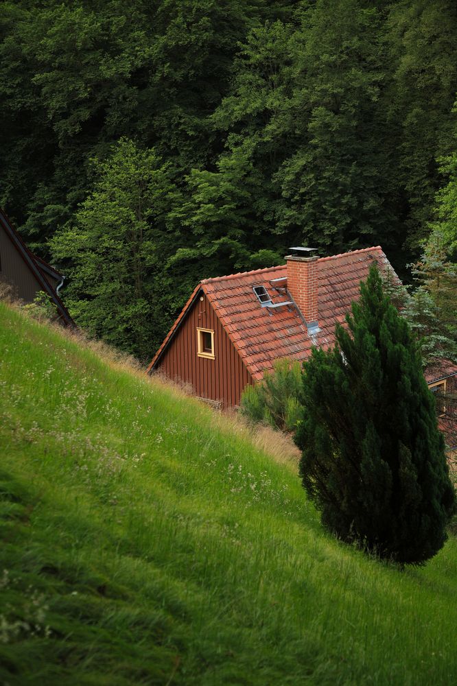 Photograph by Наталья Малышева