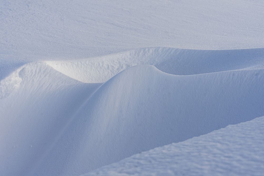 Фотография автора Julia A Caesar