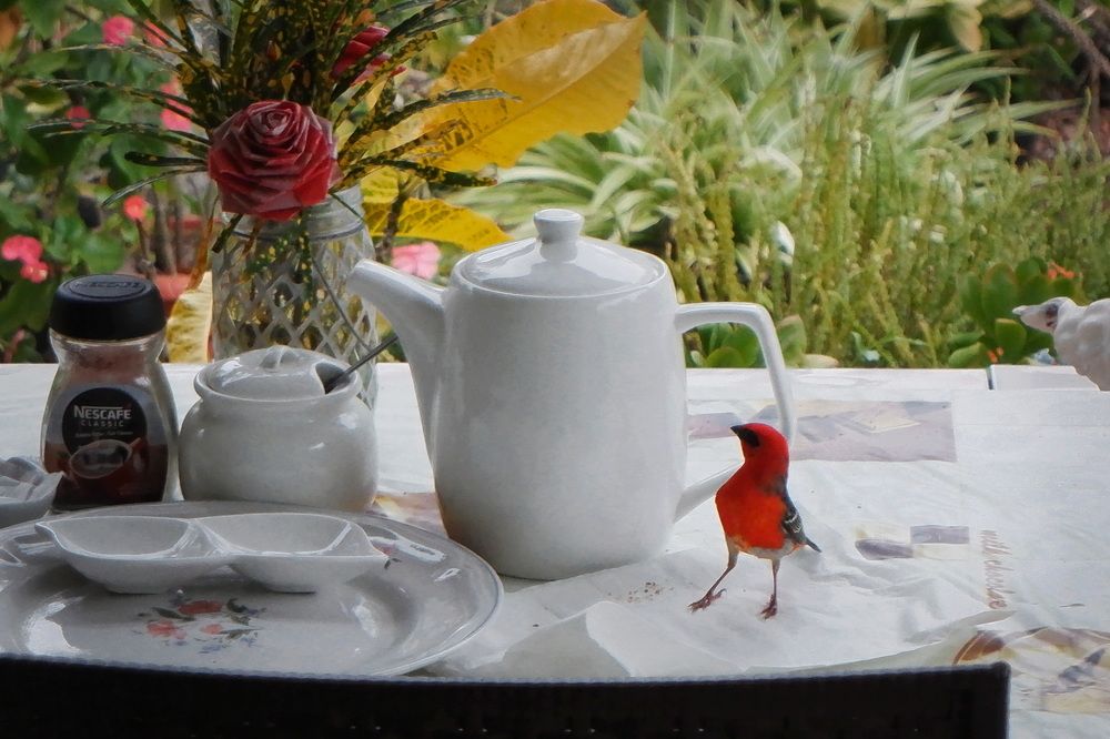 Фотография автора Юрий Кольцов