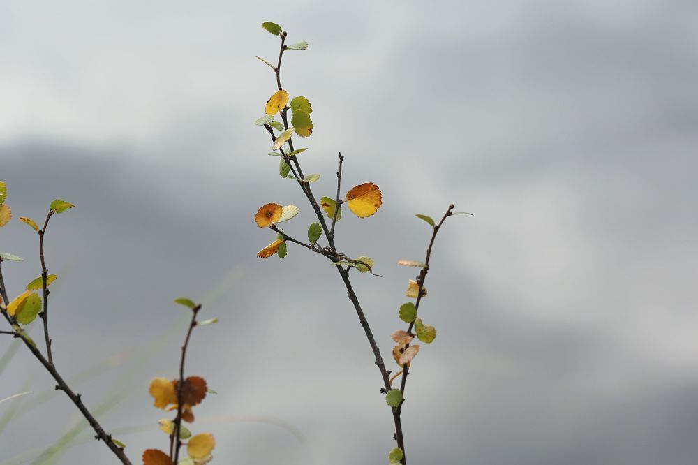 Photograph by Дмитрий Фетисов