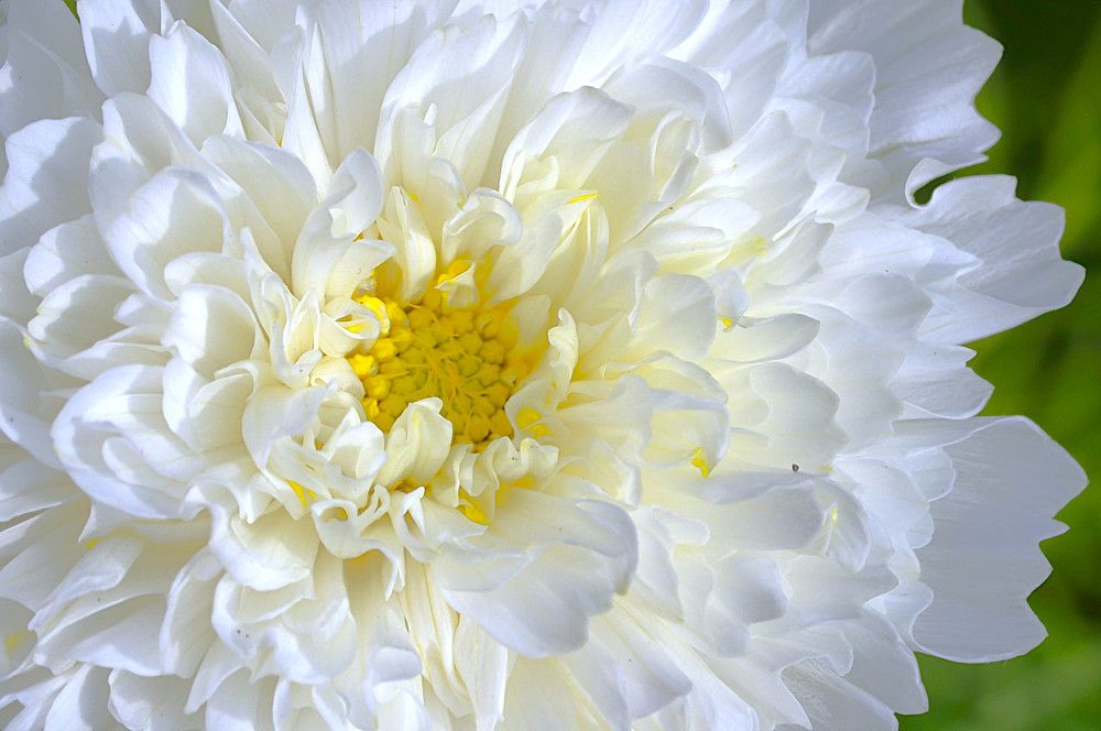 Photograph by Гагик Саркисян